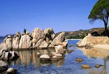 LOL新增移動(dòng)键 这款三国游戏用(yòng)操(cāo)作圈粉