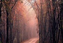 厦门足球，重返职业联赛！