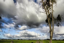 京城大满贯，朱梓予等领衔，附明日赛程