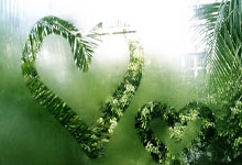 厦门足球，重返职业联赛！