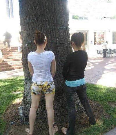 聚焦瞬间！众人圍(wéi)觀(guān)，尴尬搞笑场面引笑料不断